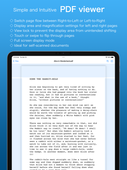 Lucid Reader screenshot: simple and intuitive PDF viewer with page-turn, binding, and lock controls